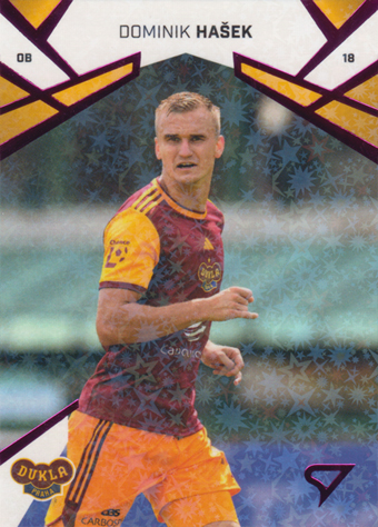 Hašek Dominik 24-25 Chance Liga Pink #182