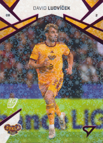 Ludvíček David 24-25 Chance Liga Pink #183