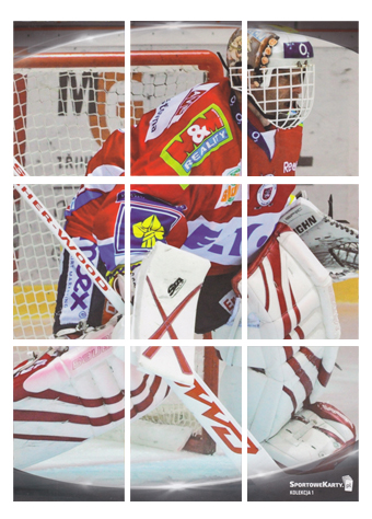 Kompletní puzzle 17-18 SportoweKarty PHL Puzzle Hašek Dominik