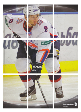 Kompletní puzzle 17-18 SportoweKarty PHL Puzzle Wolski Wojtek