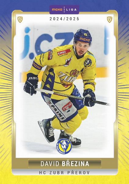 Březina David 24-25 GOAL Cards Maxa liga #PRE-13
