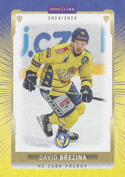 Březina David 24-25 GOAL Cards Maxa liga Sand #PRE-13