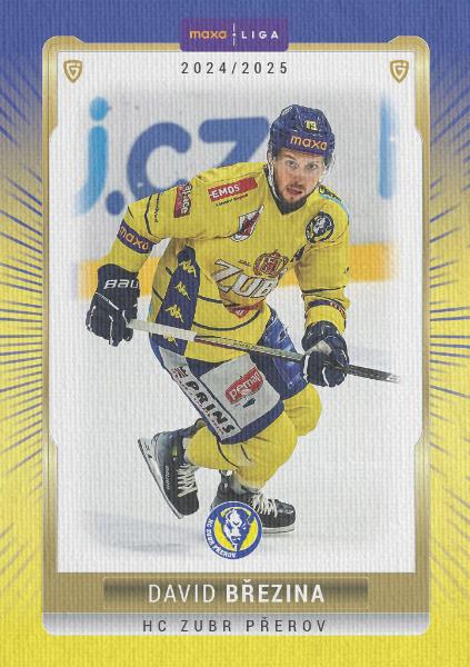 Březina David 24-25 GOAL Cards Maxa liga Canvas #PRE-13