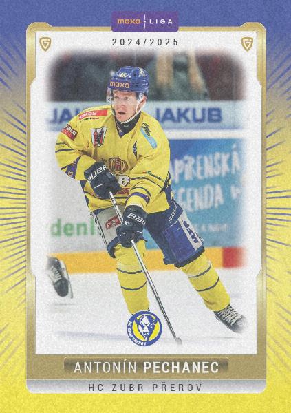 Pechanec Antonín 24-25 GOAL Cards Maxa liga Sand #PRE-15