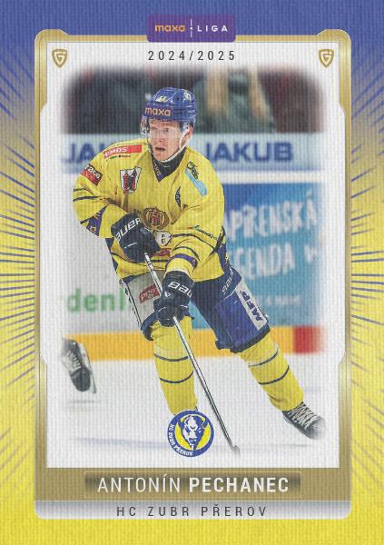 Pechanec Antonín 24-25 GOAL Cards Maxa liga Canvas #PRE-15