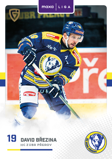 Březina David 25-26 GOAL Cards Maxa liga #PRE-14