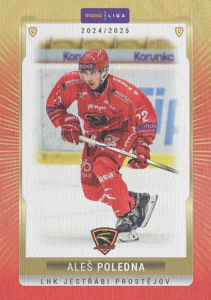 Poledna Aleš 24-25 GOAL Cards Maxa liga Canvas #PRO-09