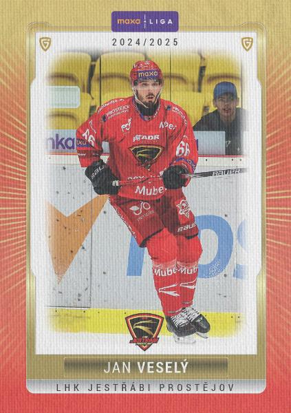 Veselý Jan 24-25 GOAL Cards Maxa liga Canvas #PRO-14