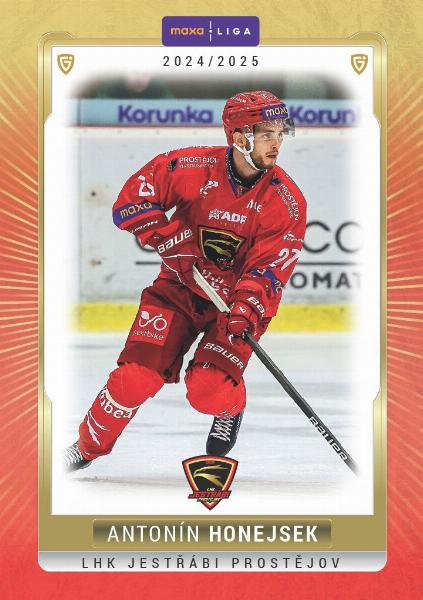 Honejsek Antonín 24-25 GOAL Cards Maxa liga #PRO-20