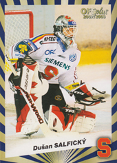 Salfický Dušan 07-08 OFS Plus Průměr zásahů #P13