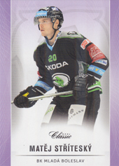 Stříteský Matěj 16-17 OFS Classic Purple #120