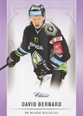 Bernad David 16-17 OFS Classic Purple #340