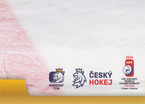 Pastrňák David 2024 LC Golden Prague Jigsaw Puzzle #DP-09