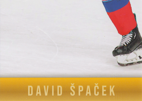 Špaček David 2024 LC Golden Prague Jigsaw Puzzle #DŠ-08