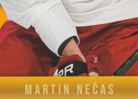 Nečas Martin 2024 LC Golden Prague Jigsaw Puzzle #MN-08