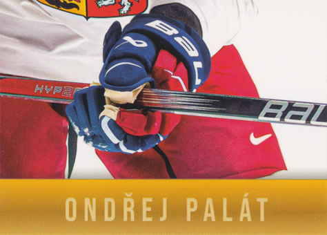 Palát Ondřej 2024 LC Golden Prague Jigsaw Puzzle #OP-08