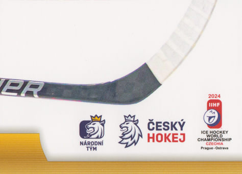 Palát Ondřej 2024 LC Golden Prague Jigsaw Puzzle #OP-09