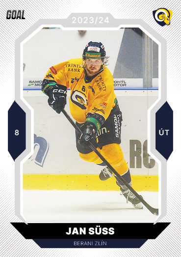 Süss Jan 23-24 GOAL Cards Chance liga #199