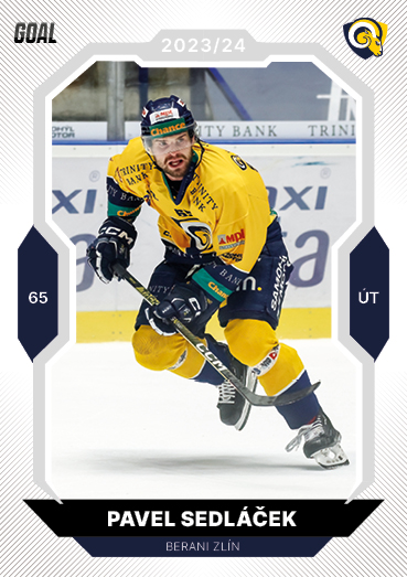 Sedláček Pavel 23-24 GOAL Cards Chance liga #209