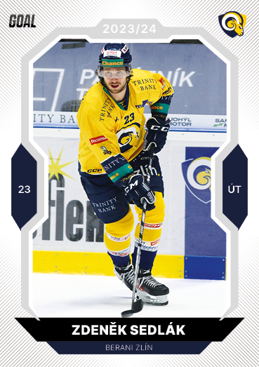 Sedlák Zdeněk 23-24 GOAL Cards Chance liga #211