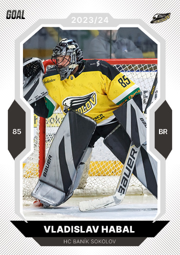 Habal Vladislav 23-24 GOAL Cards Chance liga #156