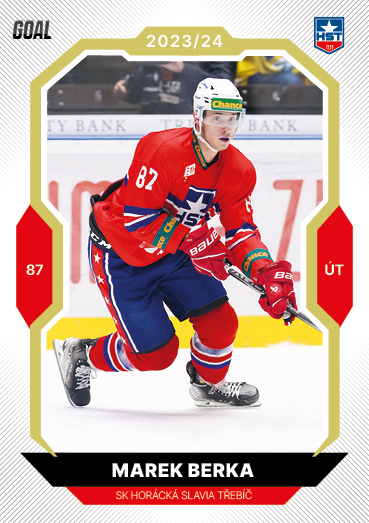 Berka Marek 23-24 GOAL Cards Chance liga Gold #242