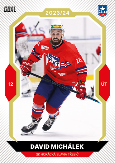 Michálek David 23-24 GOAL Cards Chance liga Gold #244