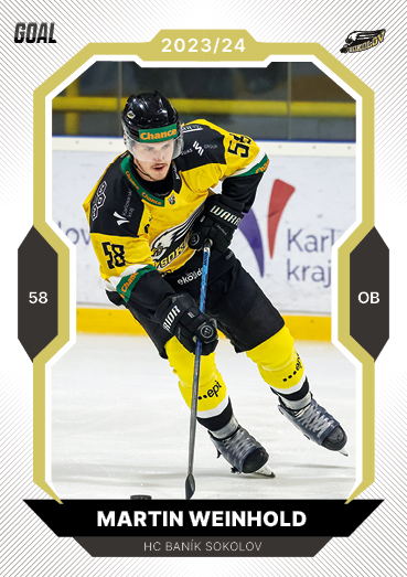 Weinhold Martin 23-24 GOAL Cards Chance liga Gold #360