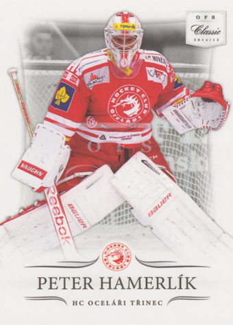 Hamerlík Peter 14-15 OFS Classic Rainbow #17