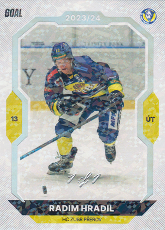 Hradil Radim 23-24 GOAL Cards Chance liga Rainbow #109