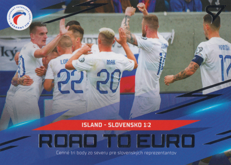Island-Slovensko 2024 Slovenskí Sokoli Road to EURO #RE-05