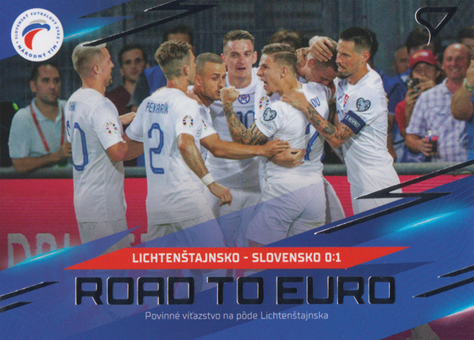 Lichtenštejnsko-Slovensko 2024 Slovenskí Sokoli Road to EURO #RE-07