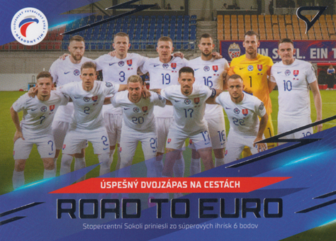 Úspěšný dvojzápas 2024 Slovenskí Sokoli Road to EURO #RE-08