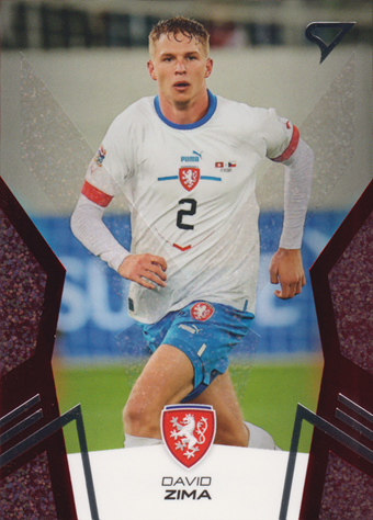 Zima David 2024 Hrdí Lvi Red #17