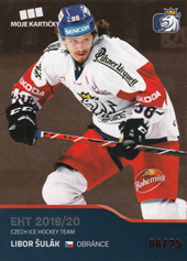 Šulák Libor 2020 MK Reprezentace Red #37