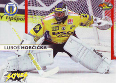 Horčička Luboš 13-14 OFS Plus Saves #8