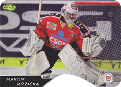 Růžička Martin 12-13 OFS Plus Saves Die-Cut #8