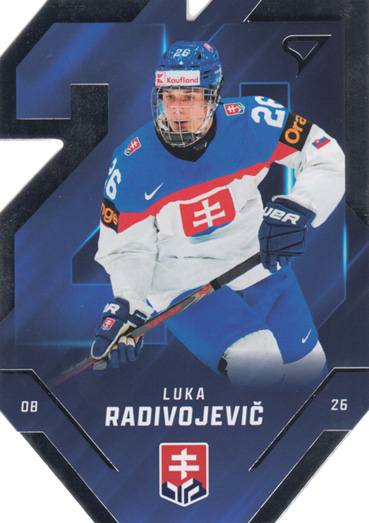 Radivojevič Luka 2025 Hokejové Slovensko Team 20 #SD-05