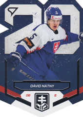 Nátny Dávid 2023 Hokejové Slovensko Slovensko 20 #SD-06