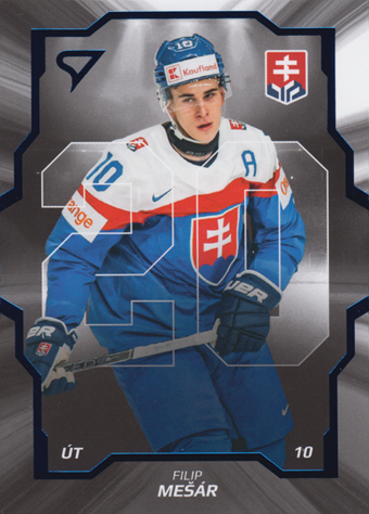 Mešár Filip 2024 Hokejové Slovensko Team 20 #SD-11