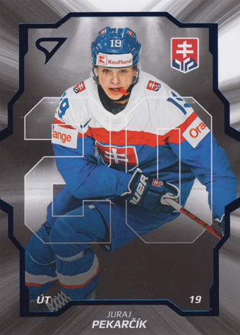Pekarčík Juraj 2024 Hokejové Slovensko Team 20 #SD-13