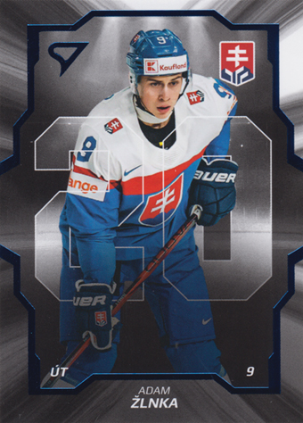 Žlnka Adam 2024 Hokejové Slovensko Team 20 #SD-18