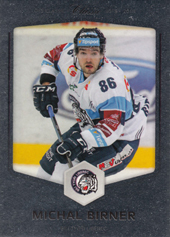Birner Michal 18-19 OFS Classic Silver #382
