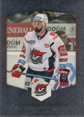 Svoboda Tomáš 18-19 OFS Classic Silver #481
