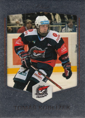 Koblížek Tomáš 18-19 OFS Classic Silver #485