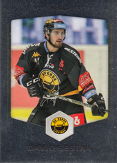 Šesták David 18-19 OFS Classic Silver #491