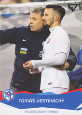 Vestenický Tomáš 17-18 Futbalové Slovensko Slovenskí sokolíci #SL-8