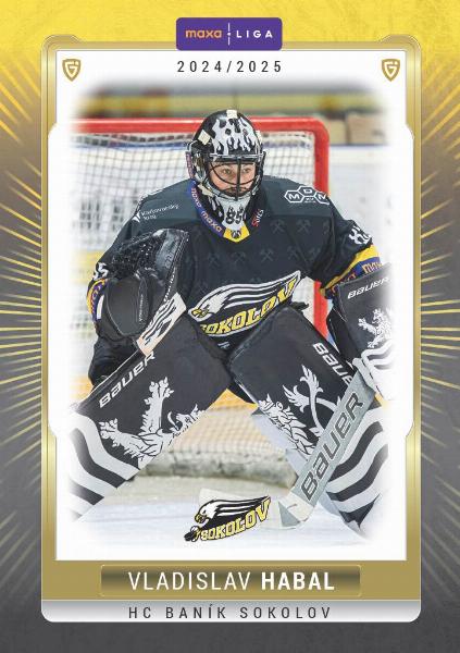 Habal Vladislav 24-25 GOAL Cards Maxa liga #SOK-01
