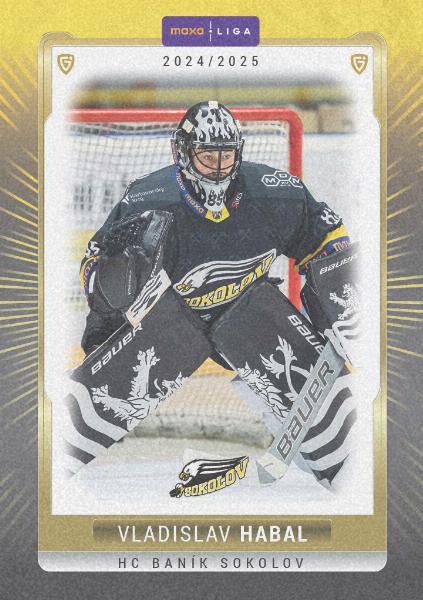 Habal Vladislav 24-25 GOAL Cards Maxa liga Sand #SOK-01