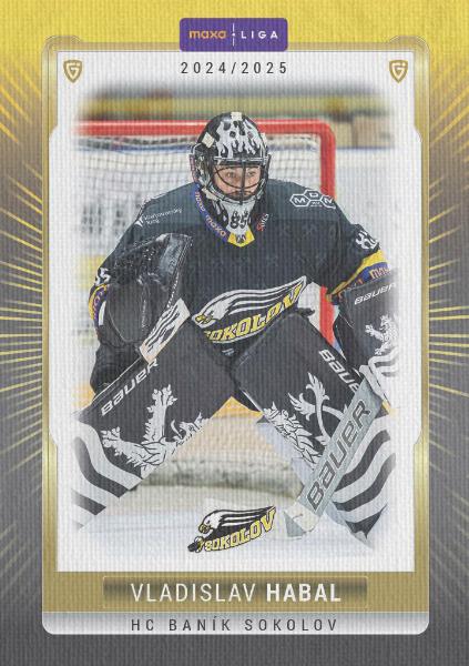Habal Vladislav 24-25 GOAL Cards Maxa liga Canvas #SOK-01
